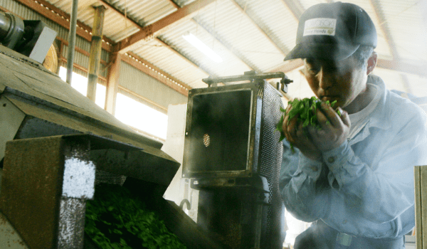 お茶工房 田中園三代目茶師の画像