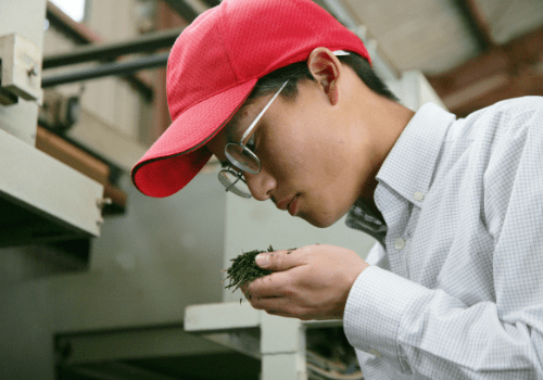 田中園 四代目の画像