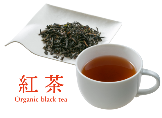 有機栽培 紅茶の画像