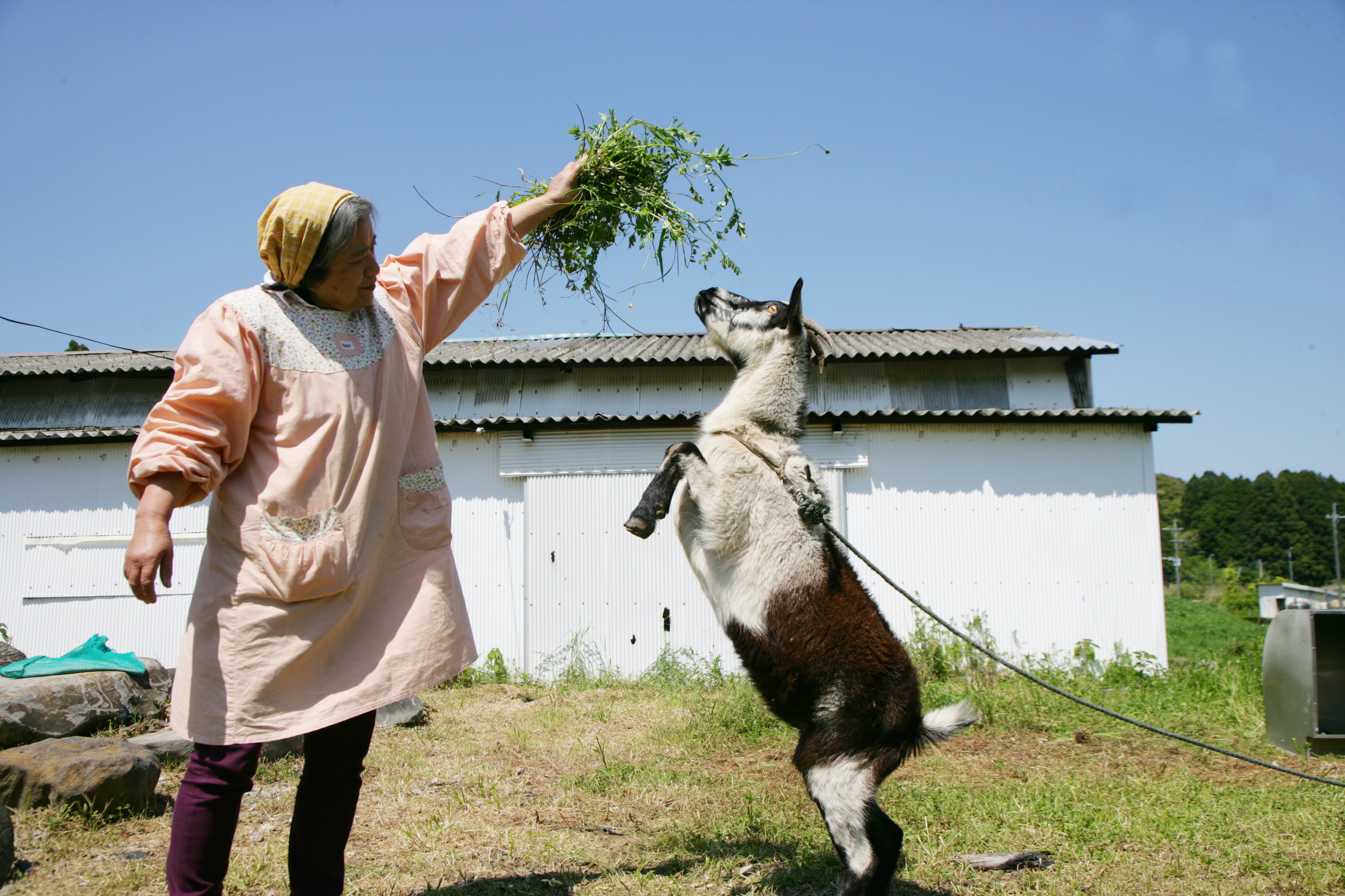 田中園 四代目の画像