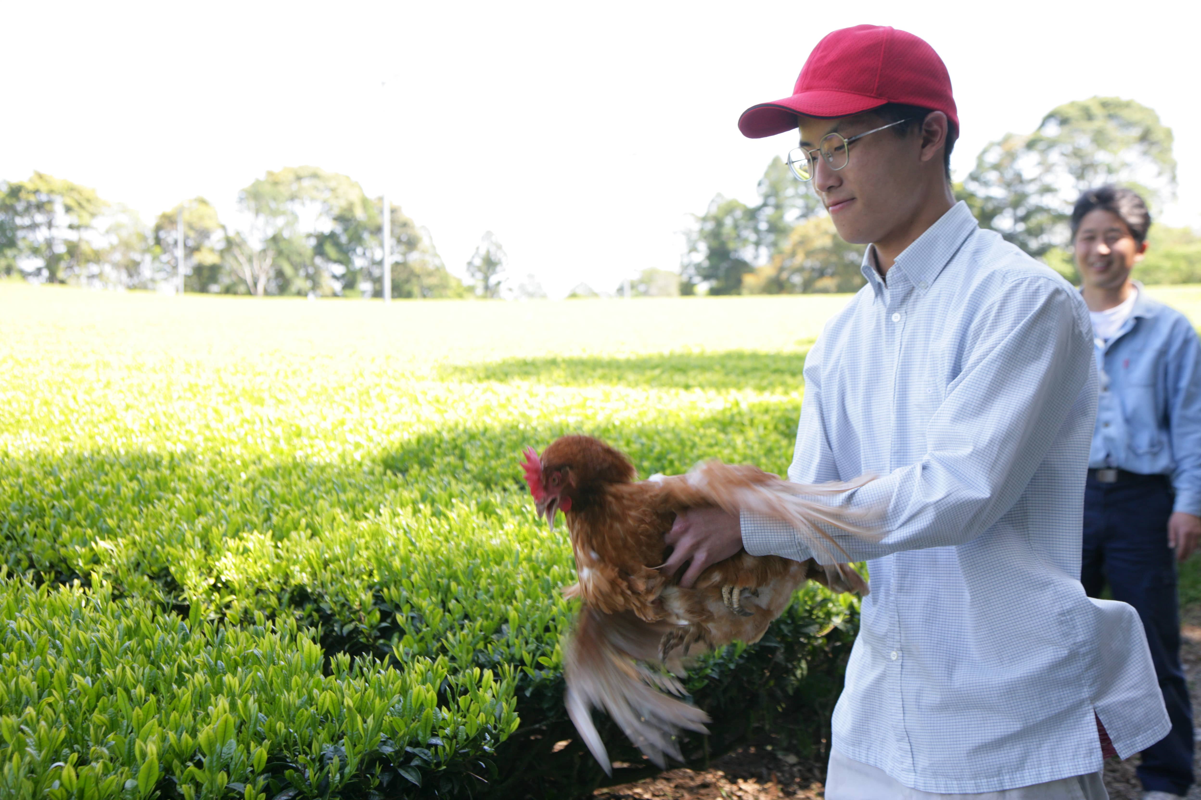 田中園 四代目の画像