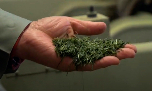 精揉工程の画像